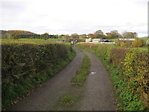 SE2646 : Access Lane to Ings Farm by Chris Heaton
