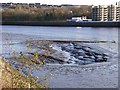 NZ2362 : Tidal mudflats on the River Tyne by Oliver Dixon