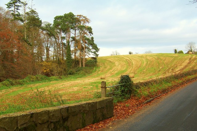 Hall Road Donaghcloney © HENRY CLARK cc-by-sa/2.0 :: Geograph Britain ...