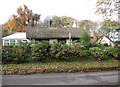 Houses on Mill Road