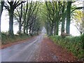 Yet another view of the road to Bridestowe from the Fox and Hounds Public House