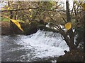 Weir, Wrington