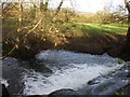 The weir, Wrington