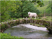 NY1808 : Sheep on a small bridge near Wasdale Head. by N Chadwick