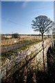 Bridge over disused railwayline