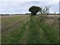 Footpath to Raans Farm