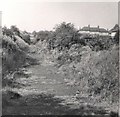 Abandoned Railway Line