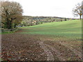 Autumn hillside near Stockton