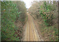 Railway in cutting, Pont Rhyd-y-cyff