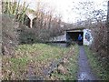 New Thames & Severn Canal bridge under Dr Newton