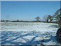 Farmland near Goosnargh