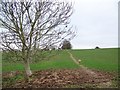 Footpath towards Whiteparish