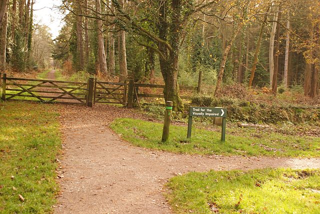 Visually impaired trail, Cyril Hart, arboretum, Forest of Dean