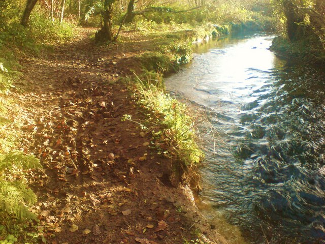Leafy path along Brandy Brook