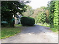 Footpath by Forest Cottages