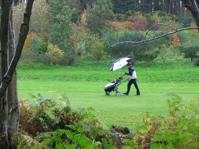 Dia de lluvia en el campo de golf - comparativa de las mejores bolsas de palos de golf impermeables