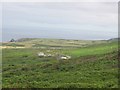 View from the track leading down to the road from Garden Mine Cottage