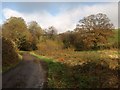 Lane near Shuttaford