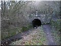 Sapperton Canal Tunnel