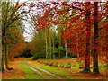 Perrystone driveway 3