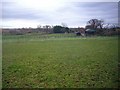 Paddocks near Blackmore Park Farm