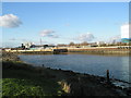 Looking across the Arun from the Mobile Home Park