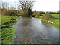 SU7352 : River Whitewater in Warnborough Green by Nigel Cox