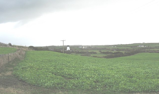 View east across a field of kale towards Melin Rhos and Ty-Croes station