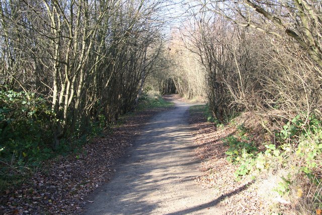 Birchwood Nature Park © Richard Croft cc-by-sa/2.0 :: Geograph Britain ...