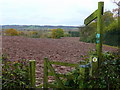 Footpath across a ploughed field