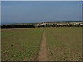 Footpath to Higher Bosistow Farm