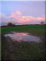 Muddy Field near Sussex Farm