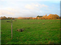 Morning Light on Locks Farm