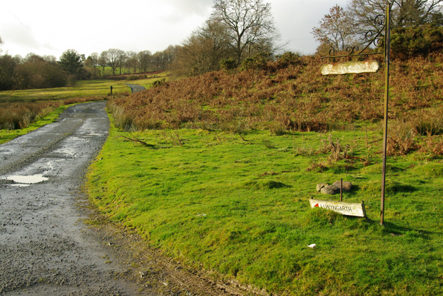 Roadway to Affallenchwerw and Llwyngarth