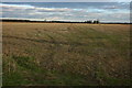 SP3918 : Stubble field near Stonesfield by Philip Halling