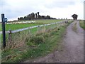 Bridleway, Wexland Farm