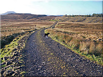 NG2749 : Track to Dunvegan by Richard Dorrell