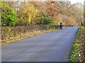 The road to the A4, near Cherhill