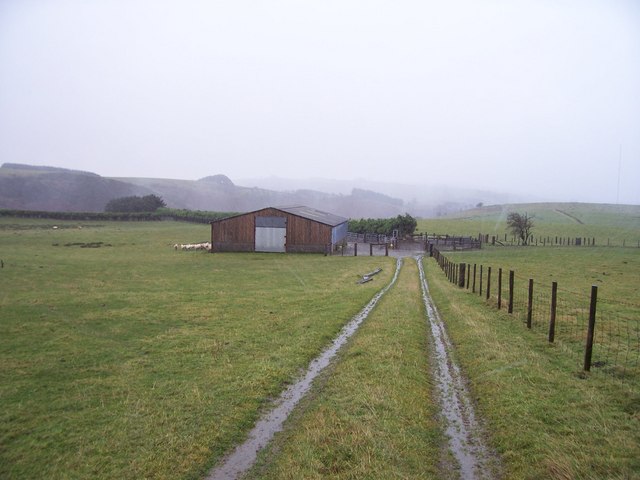 Sheep sheltering from the sleet behind a barn