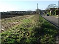 Ploughed field