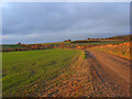 Farmland and track, Ewelme