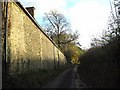 Church Street - Halstock