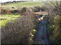 Lane at Burton Bridges, Near Aberthaw