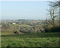 2008 : Pasture near Cherry Garden Farm