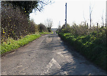SO4944 : Narrow road to Upper Lyde by Pauline E