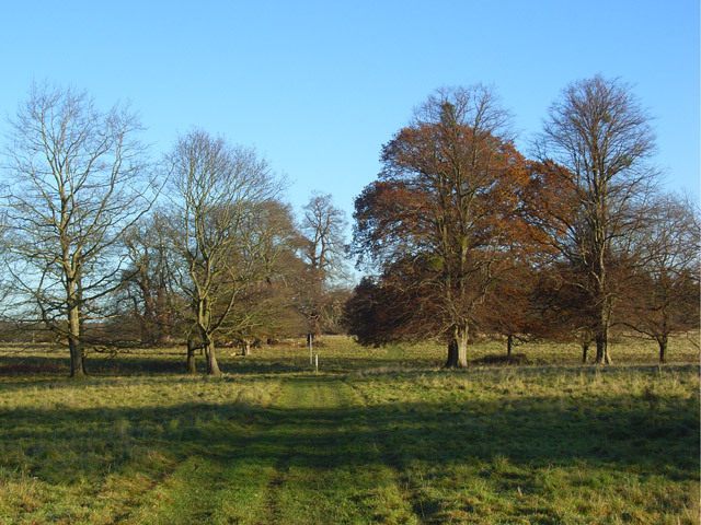 Crowsley Park © Andrew Smith :: Geograph Britain and Ireland