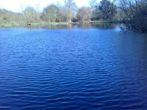Lily Pond , Dagnam Park