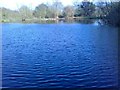 TQ5493 : Lily Pond , Dagnam Park by Ian Seabrook