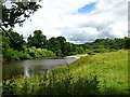 SO7098 : River Severn looking downstream from Rookery Coppice. by Peter Cutler