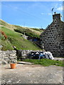 Backyard in Crovie